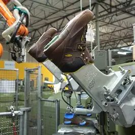 Footwear Manufacturer