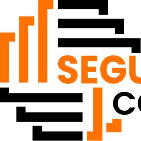 Segunbagicha Consultancy
