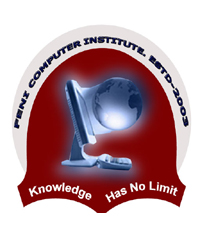 FENI COMPUTER INSTITUTE